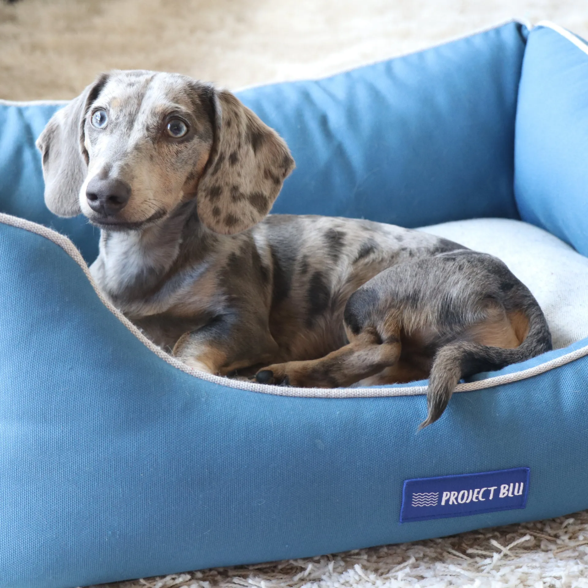 Marlin Eco-Fabric Bolster Dog Bed - Stylish and Eco-friendly