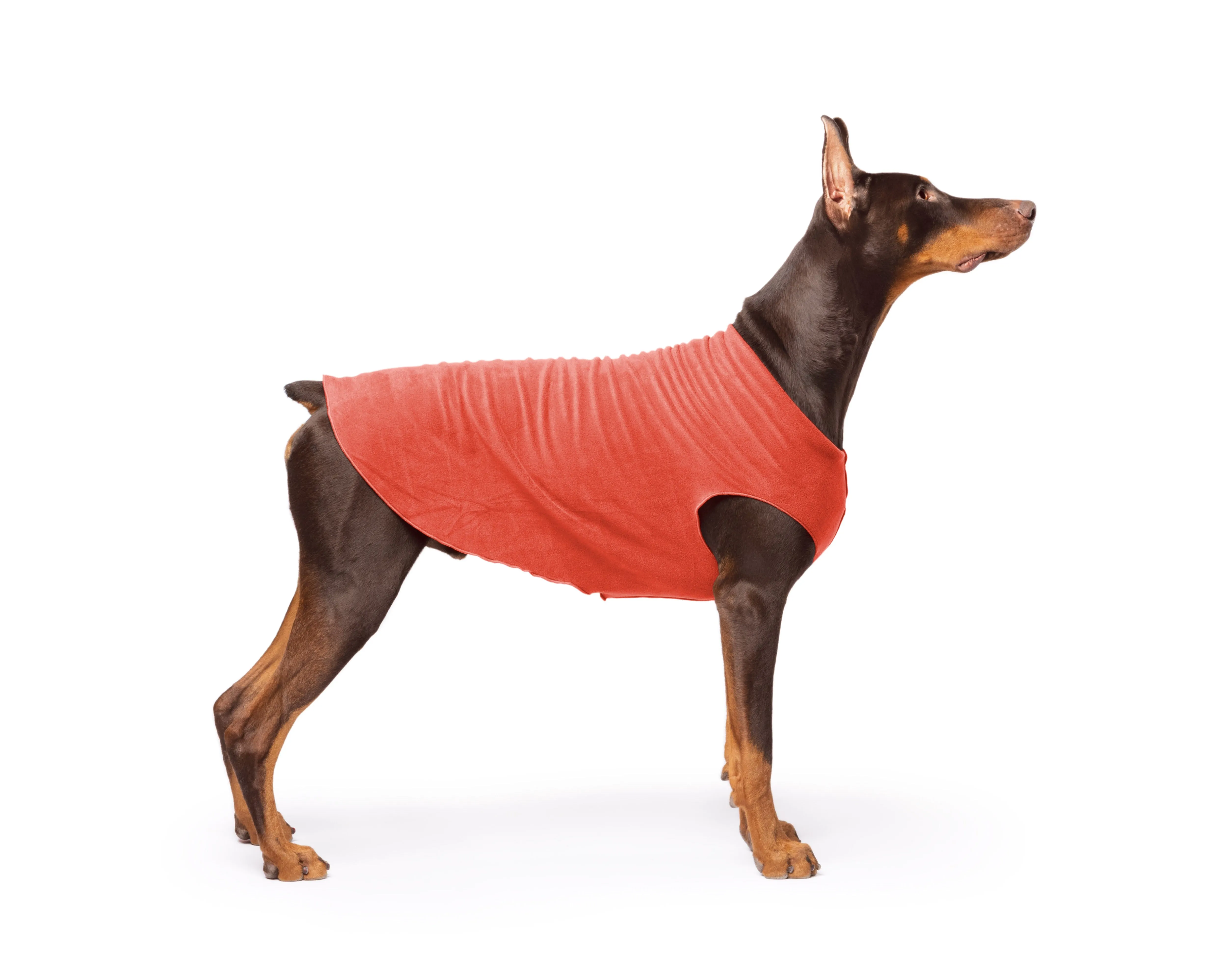 paprika stretch fleece