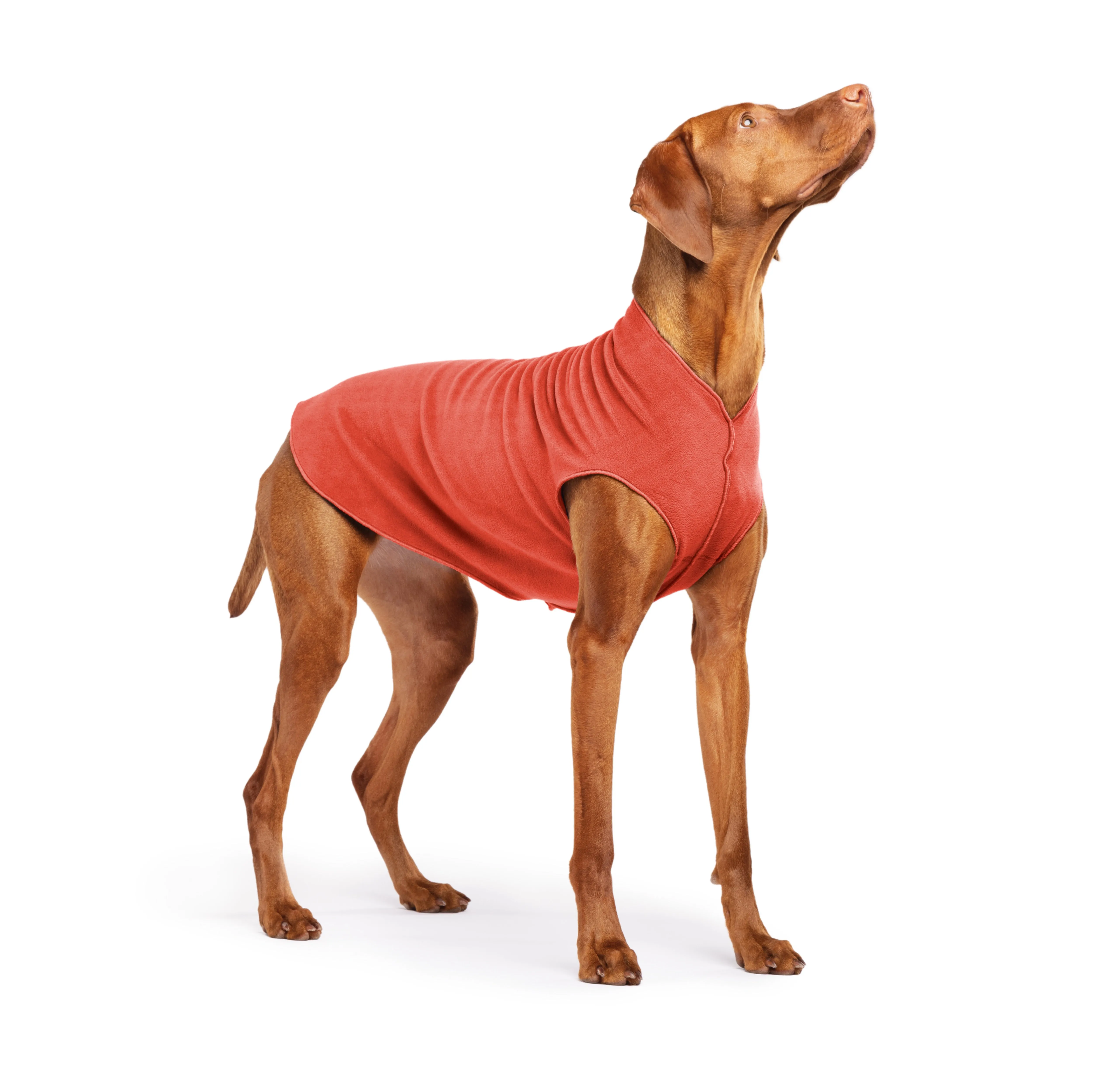 paprika stretch fleece