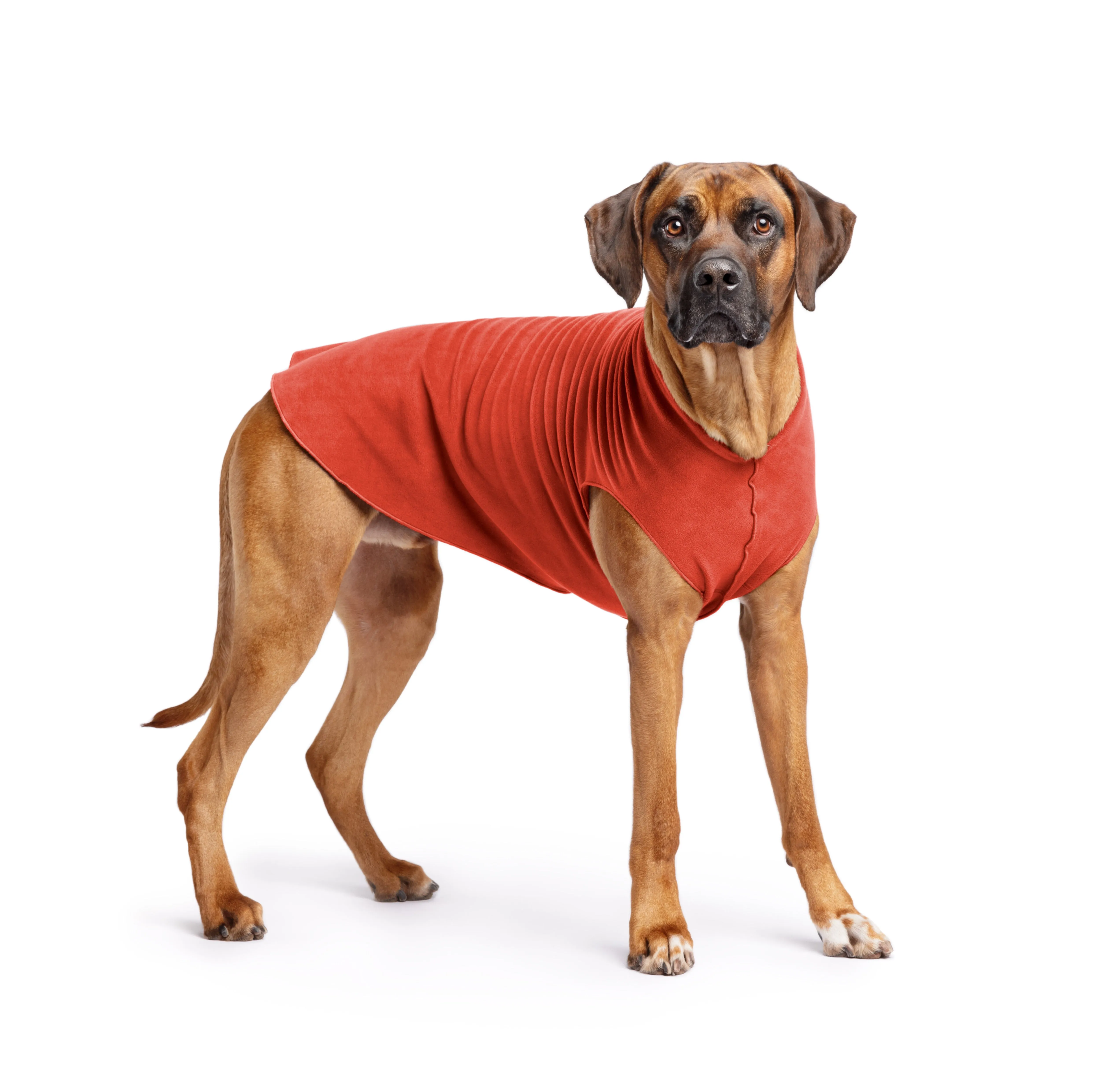 paprika stretch fleece