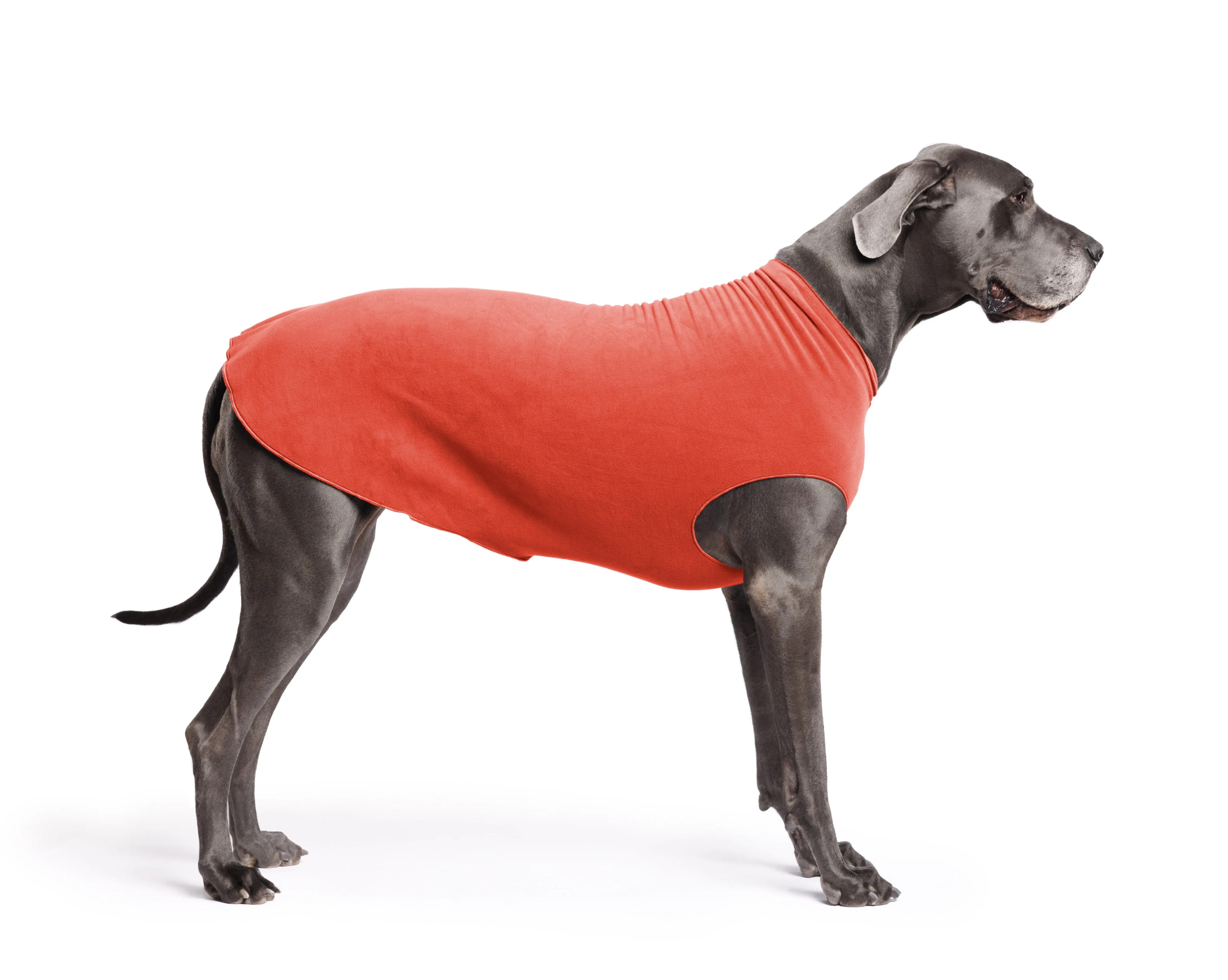 paprika stretch fleece