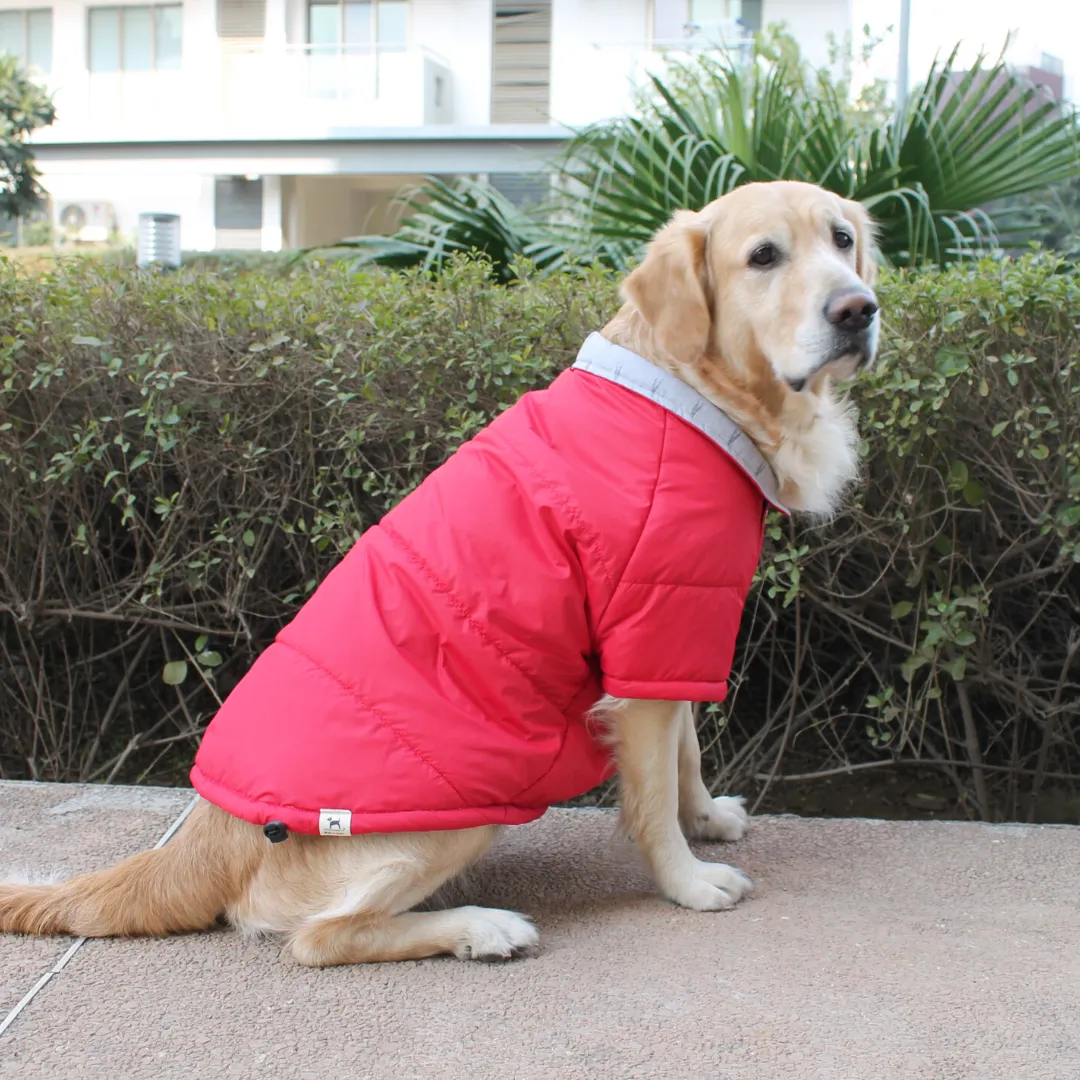 PoochMate Bexley Winter Quilted Dog Jacket : Red