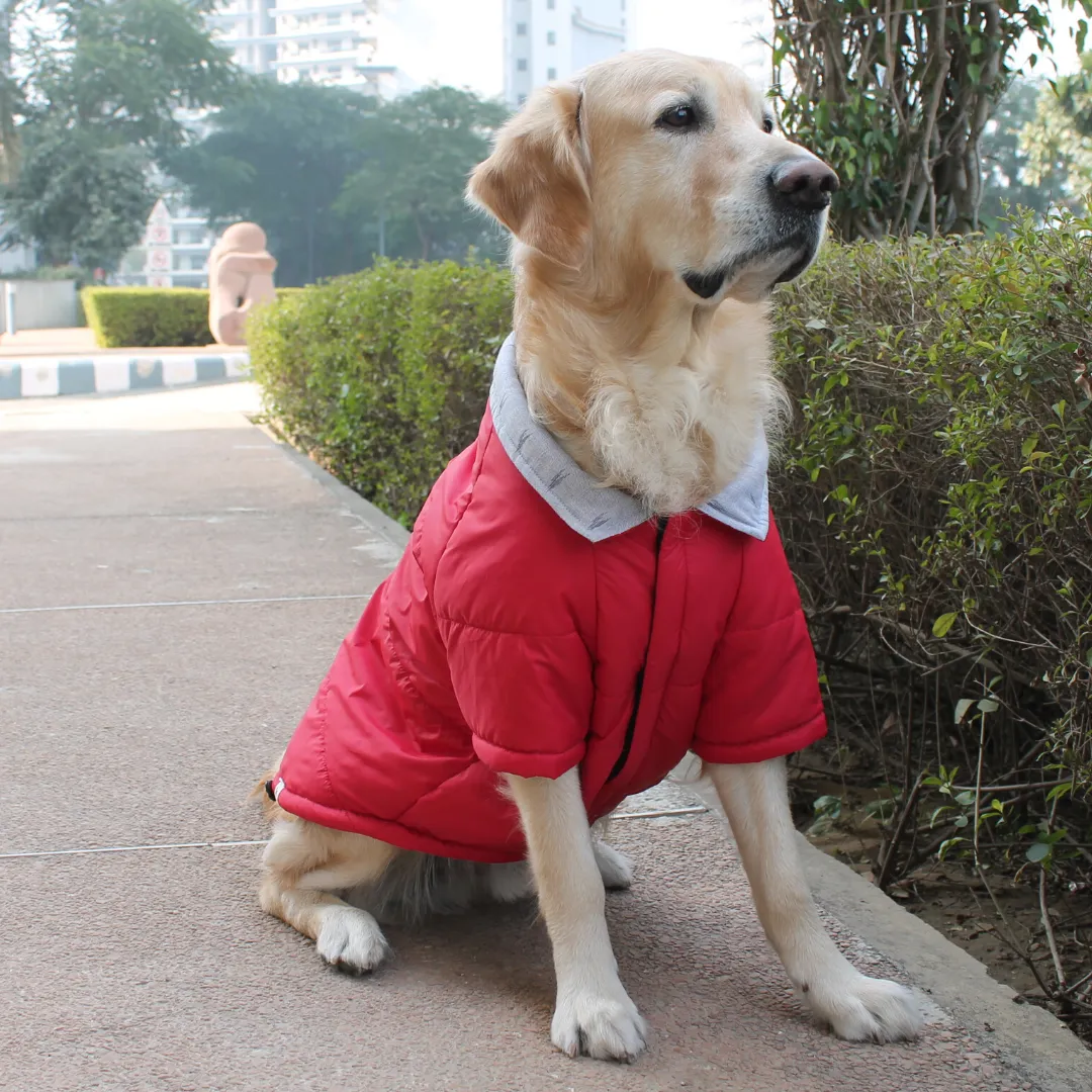 PoochMate Bexley Winter Quilted Dog Jacket : Red