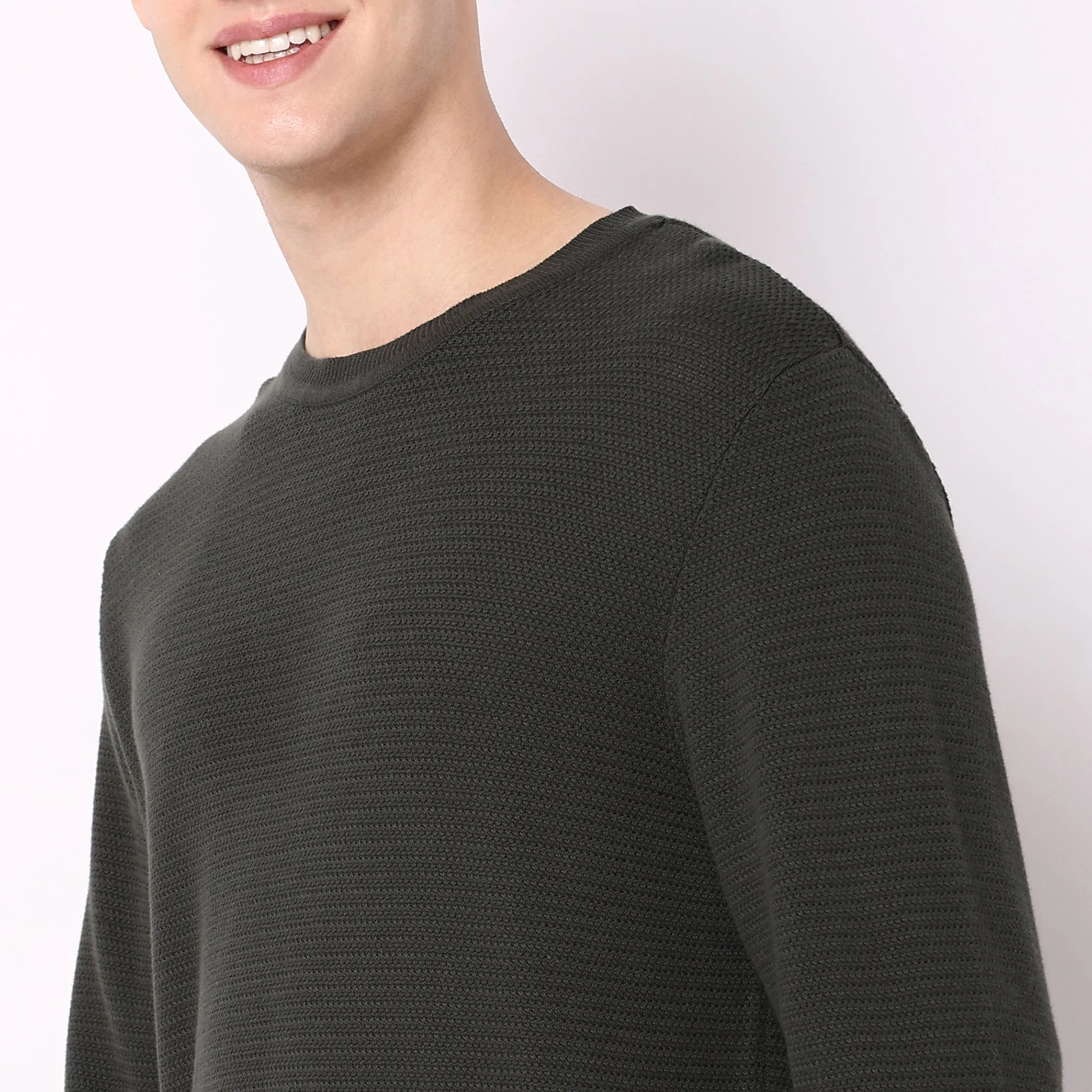 Regular Fit Solid Sweater