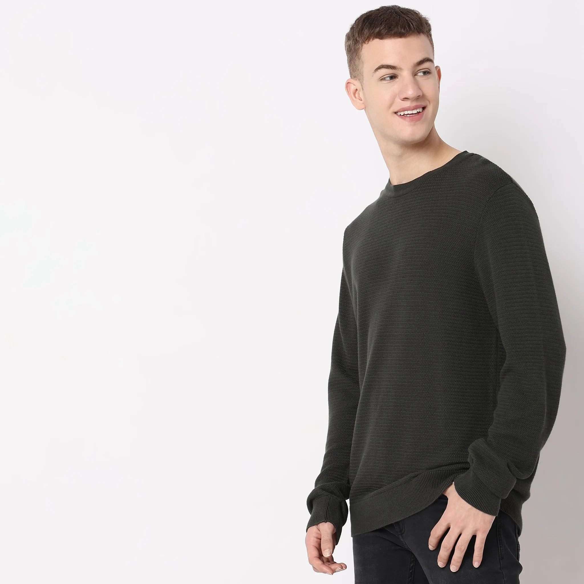 Regular Fit Solid Sweater